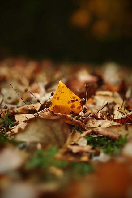 试调整战略 试调整战略