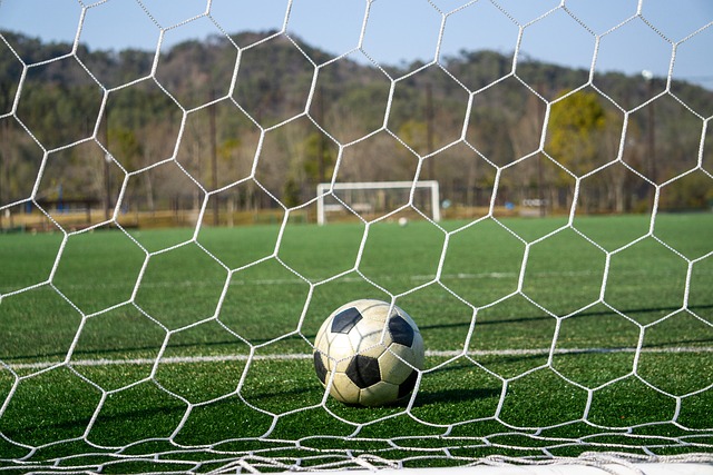 重要因素 重要因素