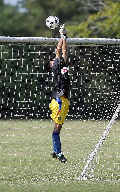 或線上平台 或線上平台