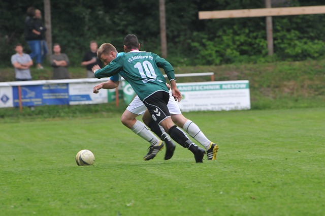 体实力对比 体实力对比