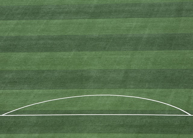 以便在法律 以便在法律