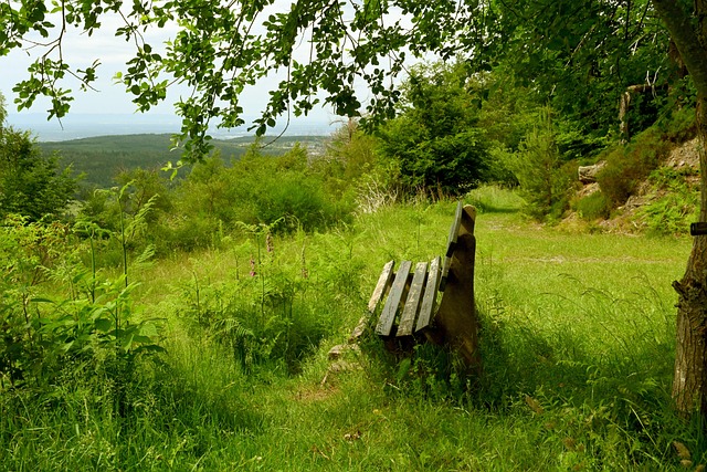 几次关键扑 几次关键扑