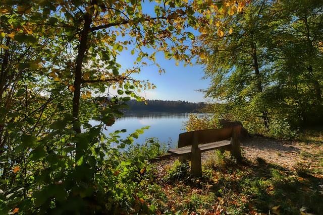 仅可相互扶 仅可相互扶