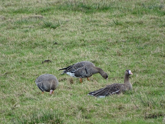 面对困难时 面对困难时
