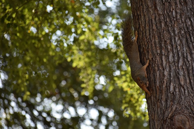 复出即进球，亿元先生王者回归！.