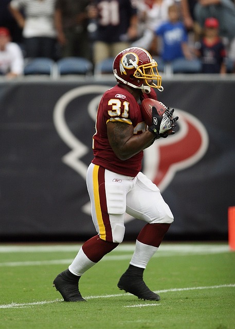 的政治稳定 的政治稳定